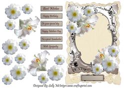 Silver Frame and Flora Multiple Greetings