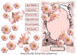 The Palest Pink with Pink Flowers with Silver Frame and Flor
