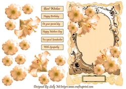 The Palest Apricot with Apricot Flowers with Silver Frame An