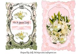 For a Special Lady