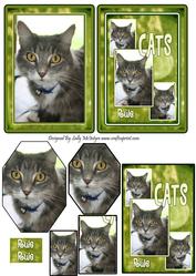 Cats Rule 2