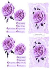 Purple Hue Rose
