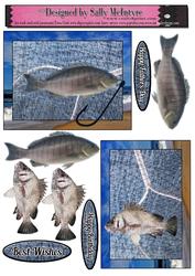 Fishing, Fisherman 2 Card Sheet