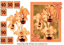 Orchids for a Special Lady 30 to 100