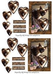 Love is Having a Cat