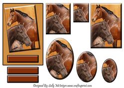 For the Horse Rider in Your Life