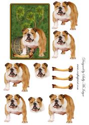 Bulldogs Rule
