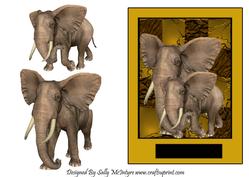 Two Elephant Step by Step