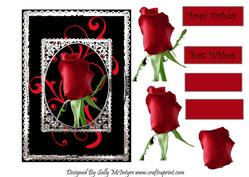 Only One Red Rose Step by Step