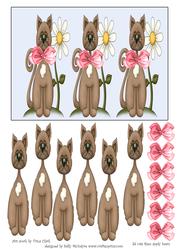 Cats Cats Cats