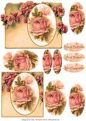 Beauty in Soft Apricot Roses for a Lady Birthday Sympathy Be