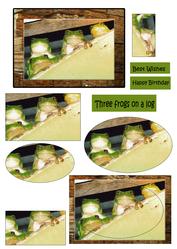 Three Frogs on a Log Happy Birthday