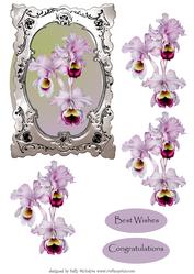Iris in Silver Frame Happy Birthday