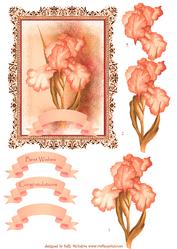Beautiful Apricot Iris