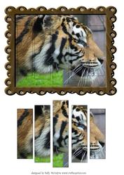Tiger Split Pyramid Great Mans Card