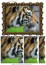 Tiger Left Side Pyramid