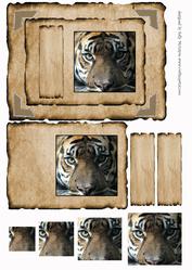 The Magic of the Tiger