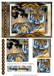 Intertwined Pyramid New Technique Tigers