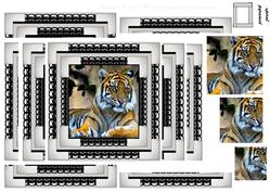 Spiral Pyramid Tigers