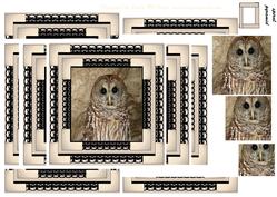 Spiral Pyramid Barn Owl