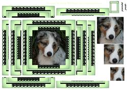Spiral Pyramid Mans Best Friend