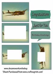 Planes of the Air1