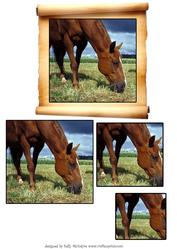 A Horse is a Horse