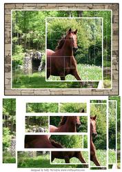 Intertwined Fantastic Horse Card