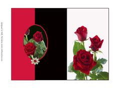 Red Roses Say It All Foldback