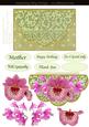 Shell Half Circle Orchids and Lace One for the Ladies