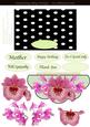 Black and White Spot Shell Half Circle Orchids and Lace One