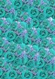 Aqua Roses and White Babys Breath Background