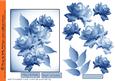 Blue Hues Rose Step by Step