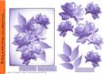 Lilac Hues Rose Step by Step Makes a Stunning Card