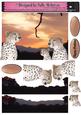 Magic in the Jungle Cheetah in the Sunset