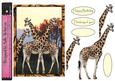 Giraffe Sunset in the Jungle