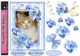 All About Cat Beauty