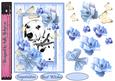 All About a Beautiful Dalmation