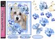 My Favourite Little White Dog