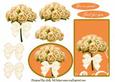 Beautiful Bunch of Apricot Roses You Are Special Just for You