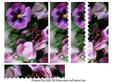 Watercolour Pansy Side Stacker
