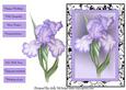 Black and White Framed Iris Happy Birthday , Congratulations, with Sympathy,best Wishes,thinking of You , Enjoy Your Retirement,get Well Soon