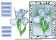 Blue Iris Happy Birthday , Congratulations, with Sympathy,best Wishes,thinking of You , Enjoy Your Retirement,get Well Soon