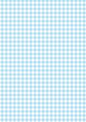 Gingham in Topaz - A4 Background Sheet