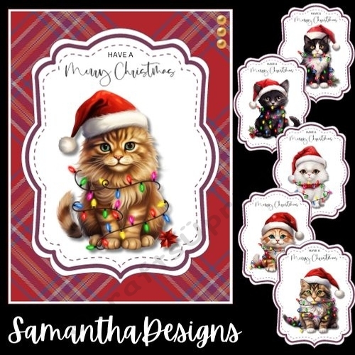 Cats In Christmas Lights Mini Kit