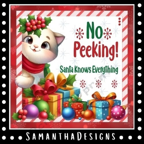 No Peeking Cat Mini Kit