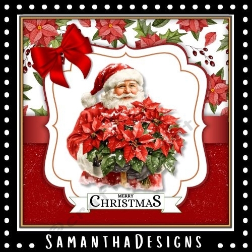 Poinsettia Father Christmas Mini Kit