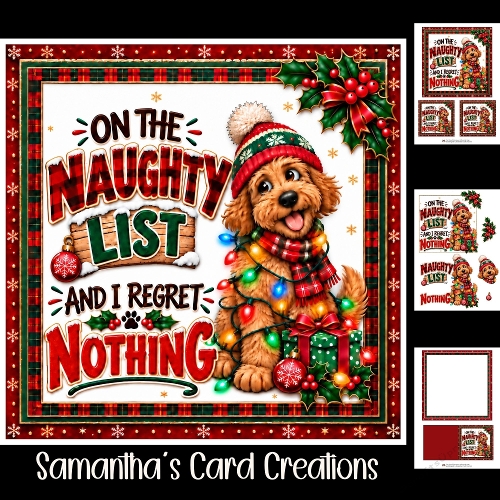 Naughty List Mini Kit