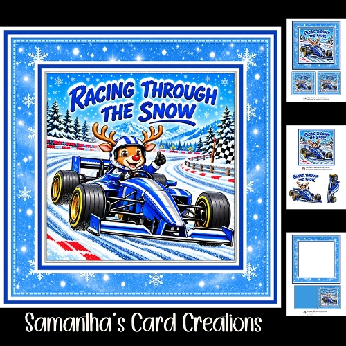 Racing Through The Snow Mini Kit
