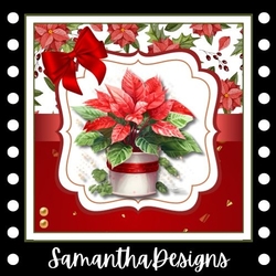 Poinsettia Christmas Mini Kit